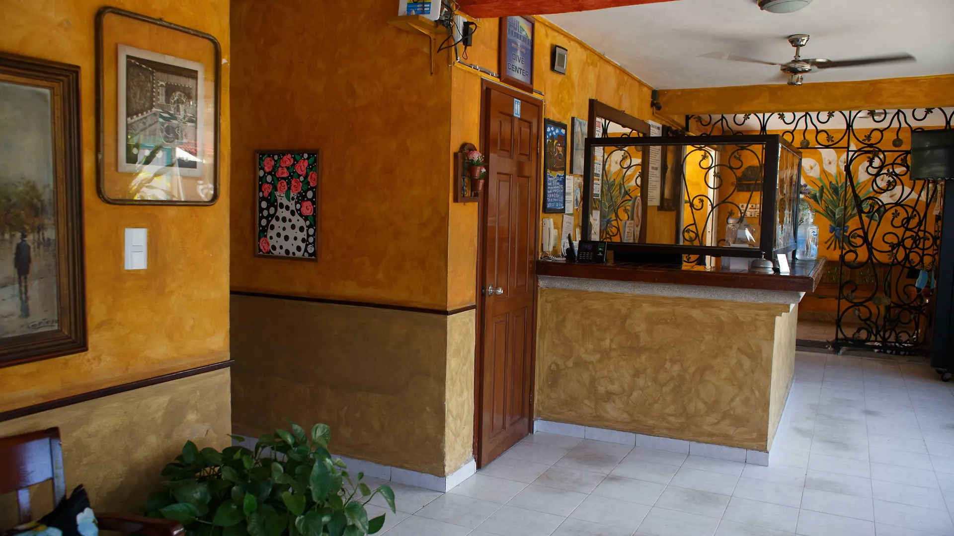 卡索纳瑞欧酒店 科苏梅尔 酒店